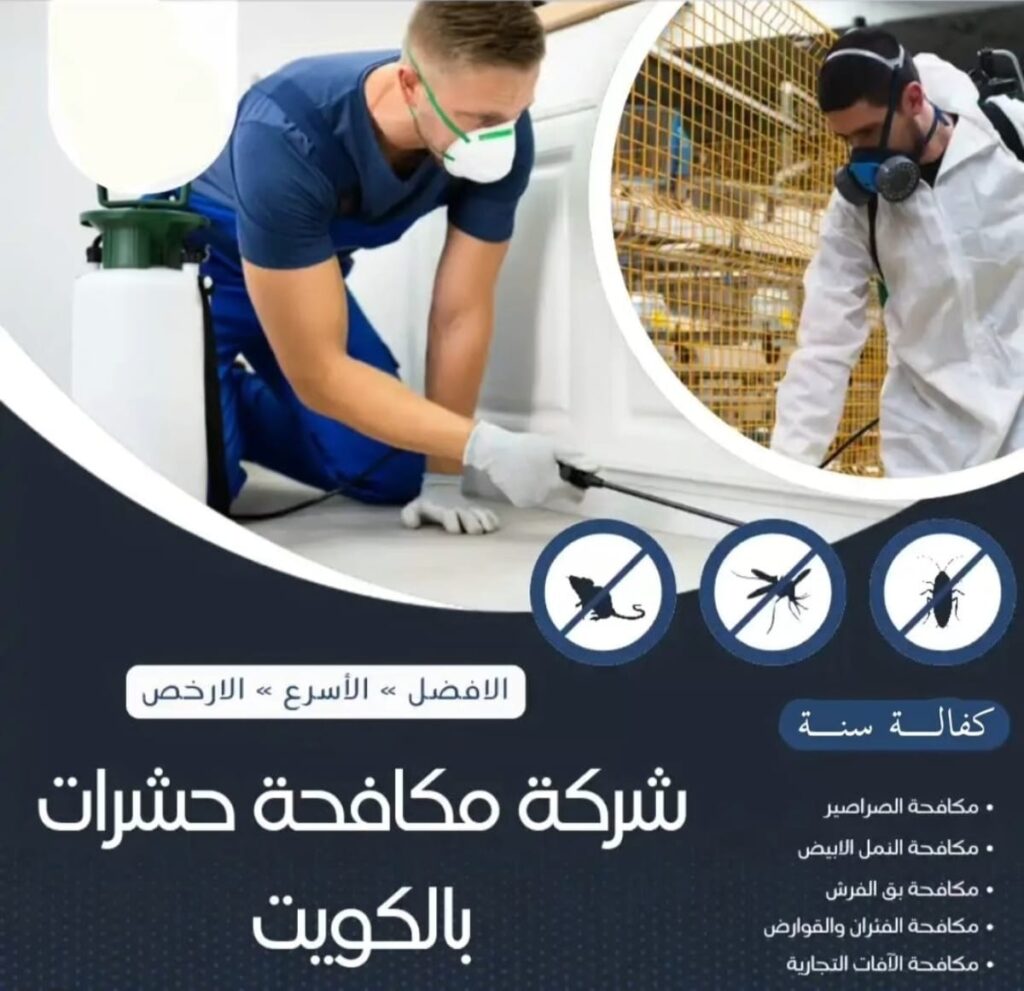 IMG 20250609 WA0002 1024x991