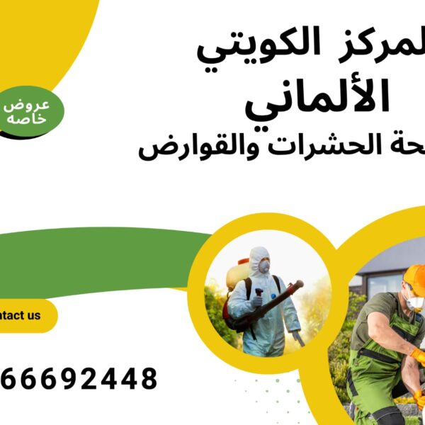 IMG 20250609 WA0003 600x600